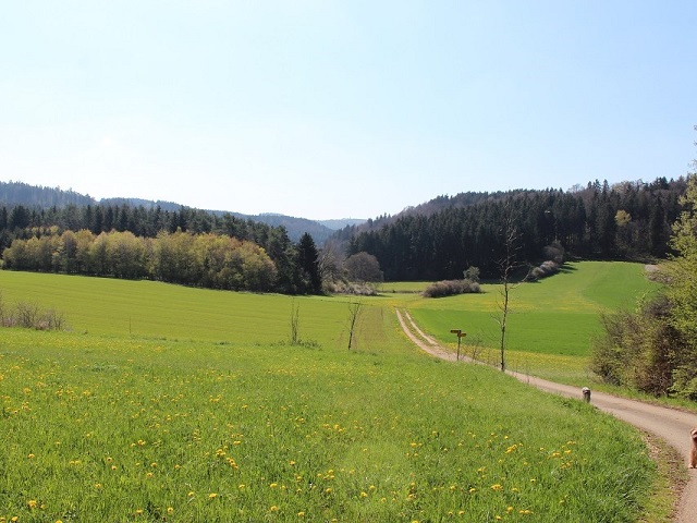 Im Fruehling 2019 (1)